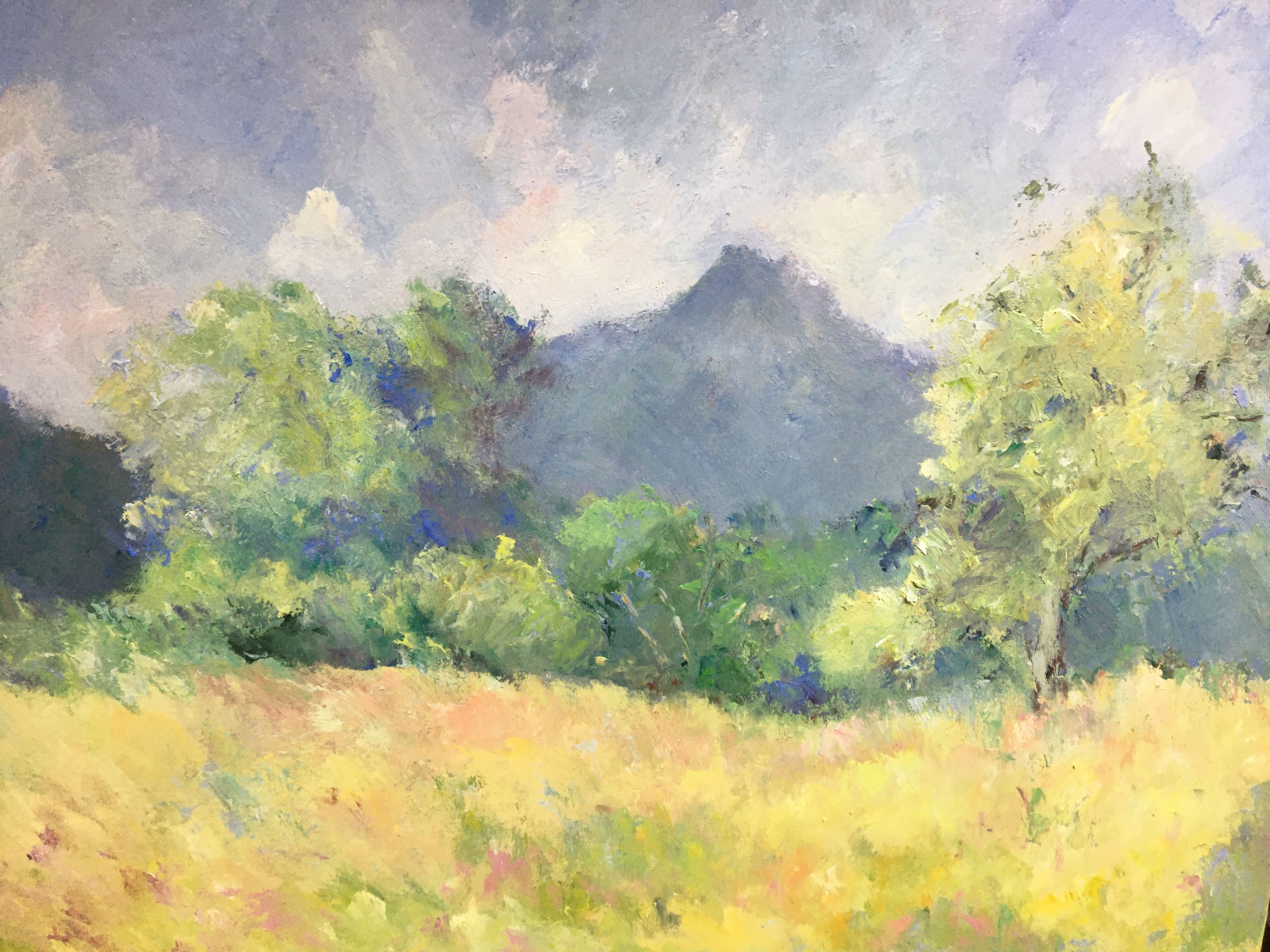 Ursula Schmid Malerei Landschaft